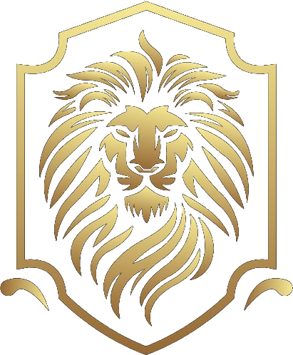 PFV Sports Holdings